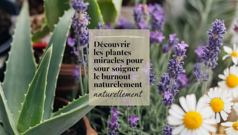 Découvrir les plantes miracles pour soigner le burnout naturellement