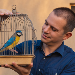 Quelle taille idéale pour la cage de votre oiseau ? Trucs & astuces !