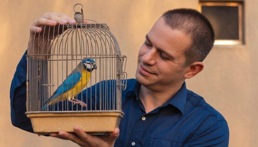 Quelle taille idéale pour la cage de votre oiseau ? Trucs & astuces !