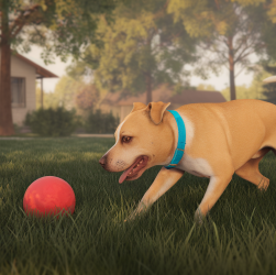 Un chien américain pour pimenter votre quotidien en 2026